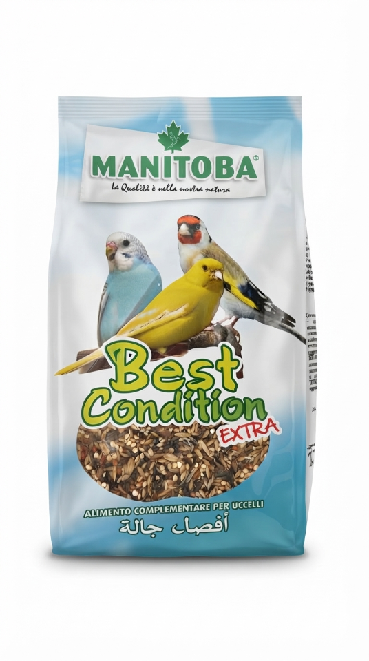 Manitoba Best Condition Extra Mix 400Gr